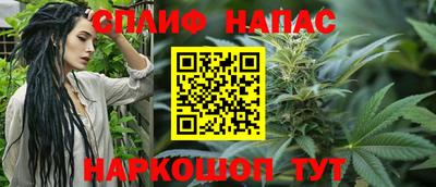 дмт Белореченск